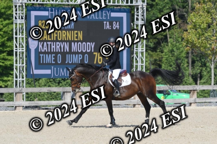 511DK1_1415