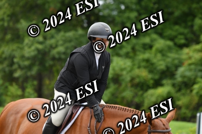 888517DK1_0539