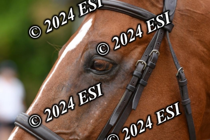 888517DK1_0549