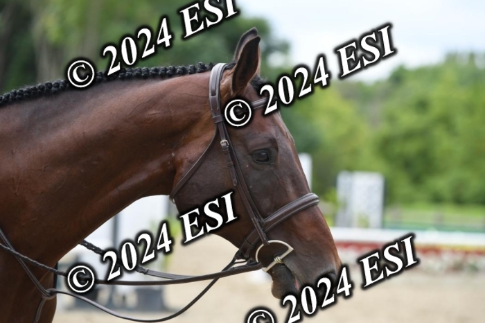 888517DK1_0616