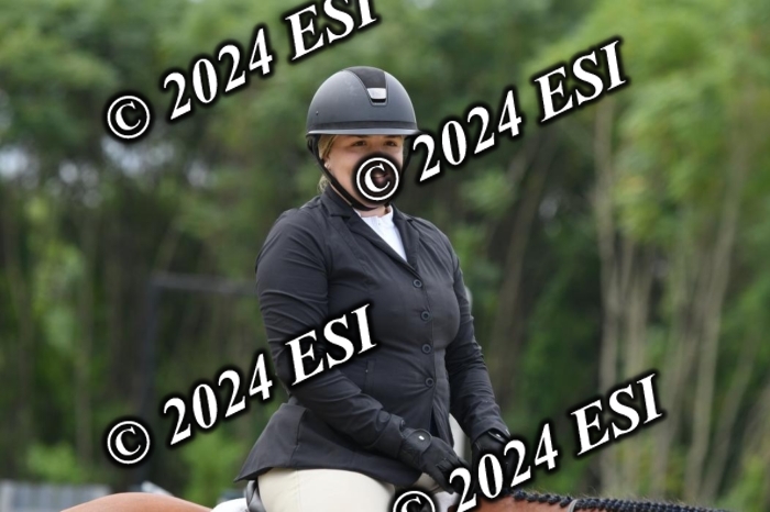 888517DK1_0666