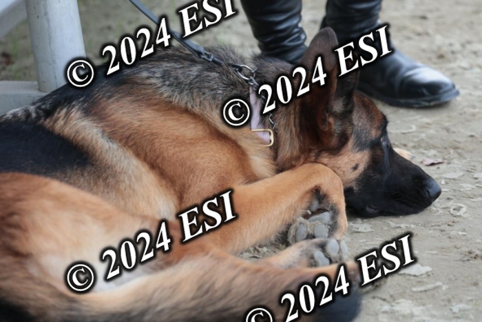 888605SC1_6849