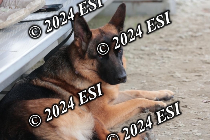 888605SC1_6886