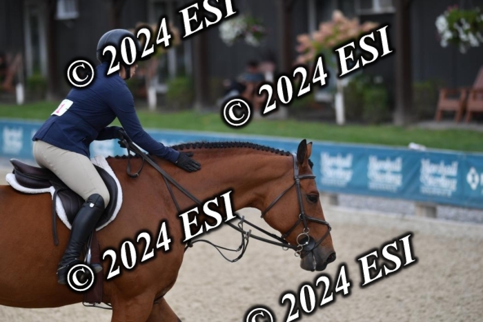888655CAH_3392