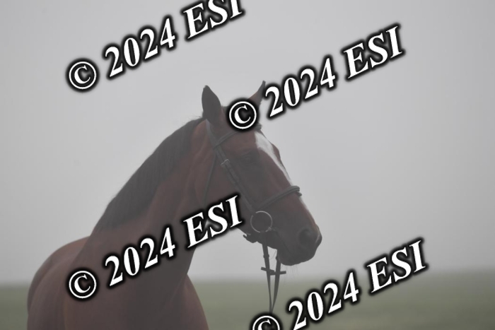 720CAH_6076