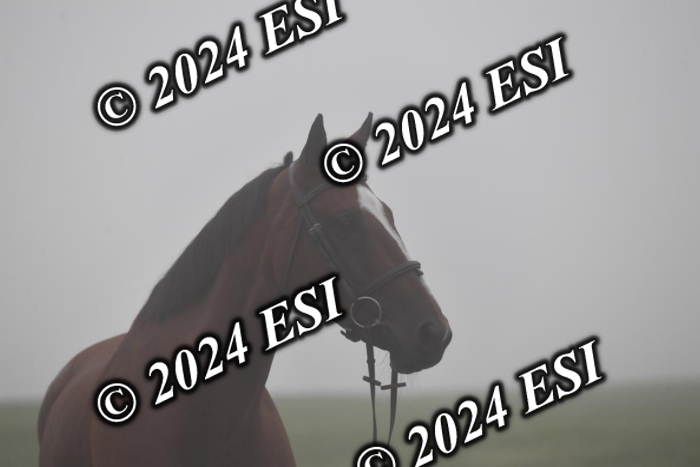 720CAH_6077