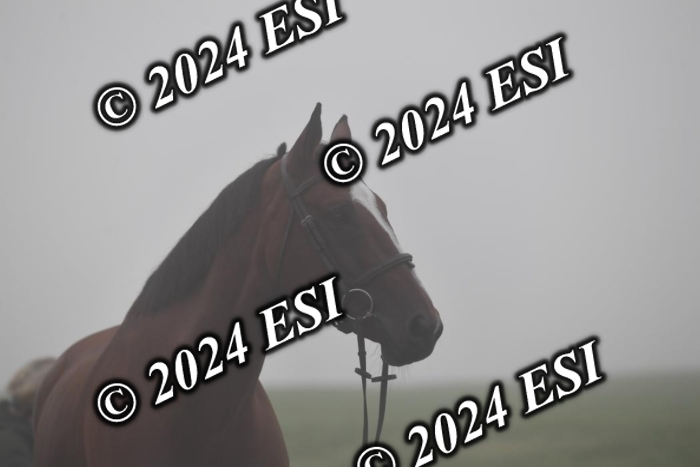 720CAH_6079