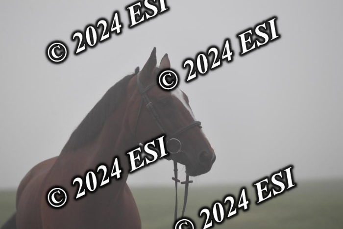 720CAH_6080