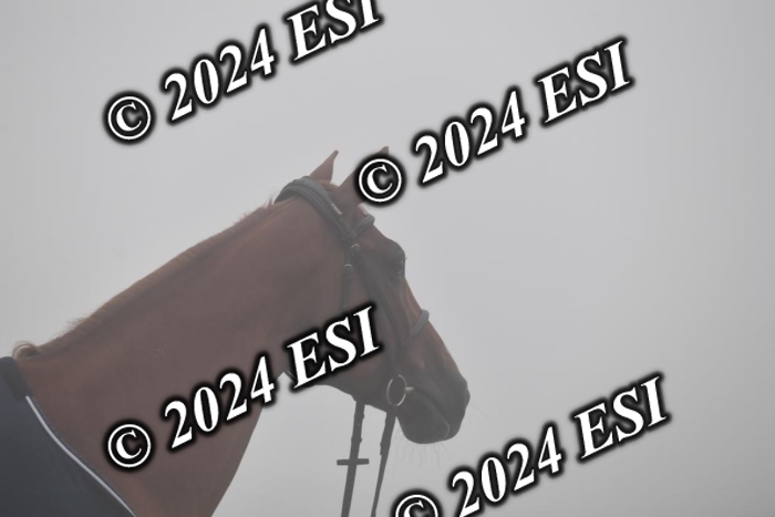720CAH_6096