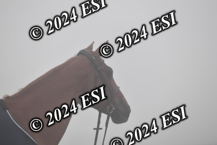 720CAH_6097