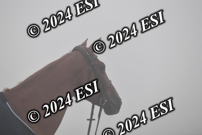 720CAH_6098