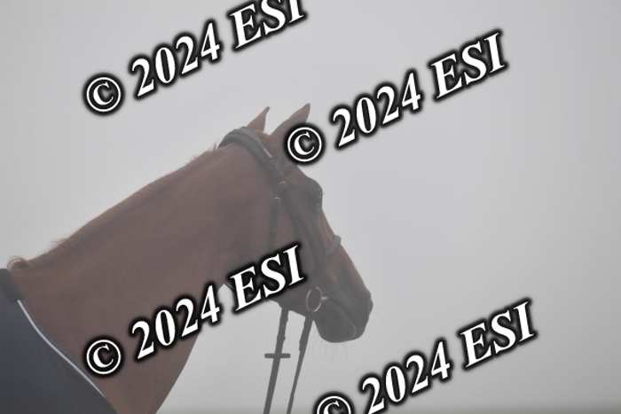 720CAH_6099