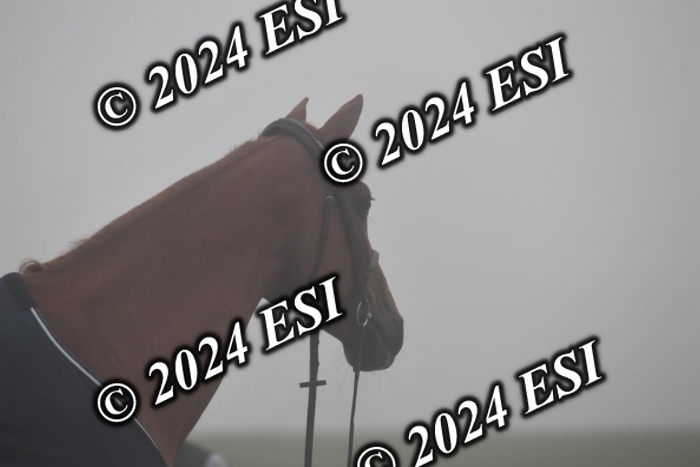 720CAH_6100