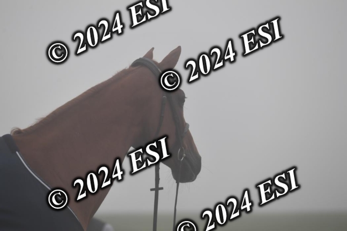720CAH_6101