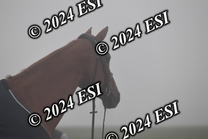 720CAH_6102