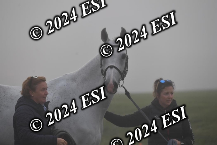 720CAH_6155
