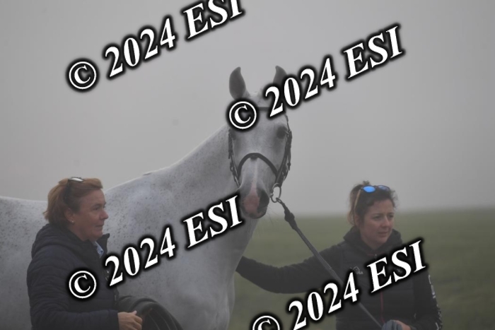 720CAH_6156