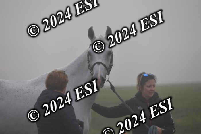 720CAH_6158