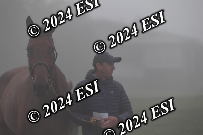 720CAH_6169