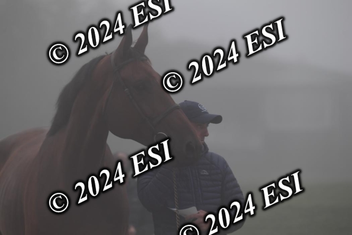 720CAH_6170