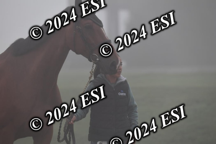 720CAH_6173