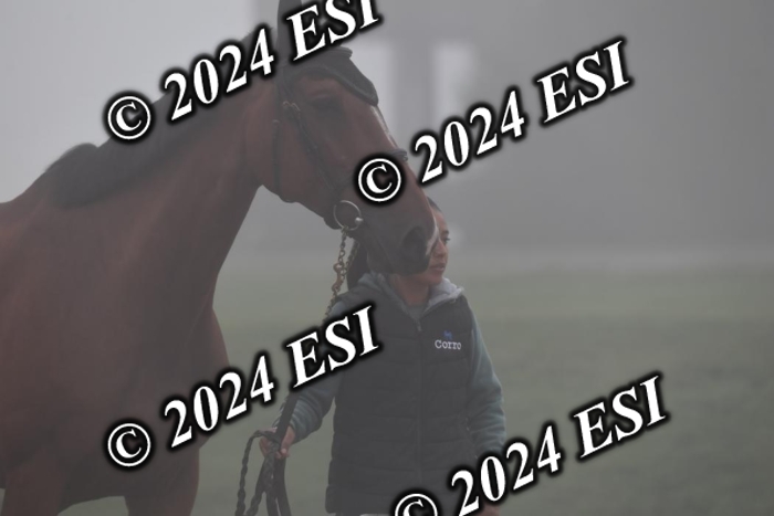720CAH_6175