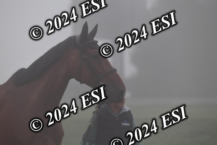 720CAH_6176