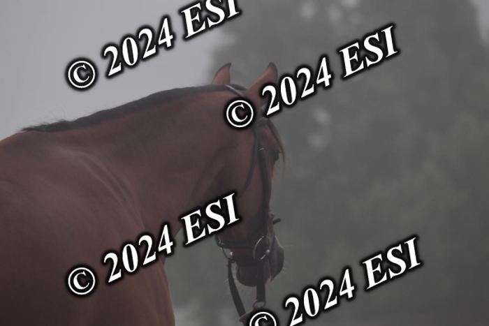 720CAH_6192
