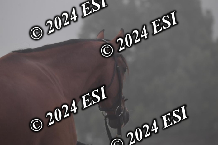 720CAH_6193