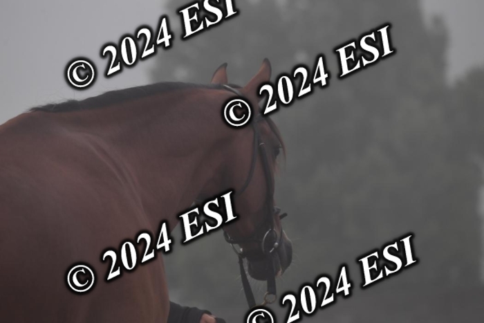720CAH_6194