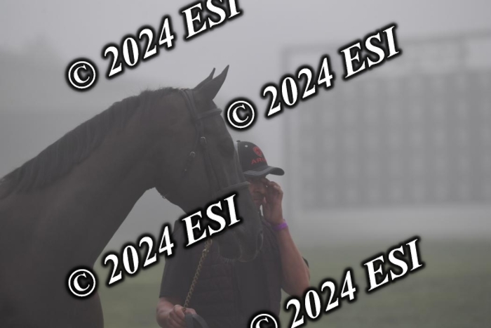 720CAH_6196