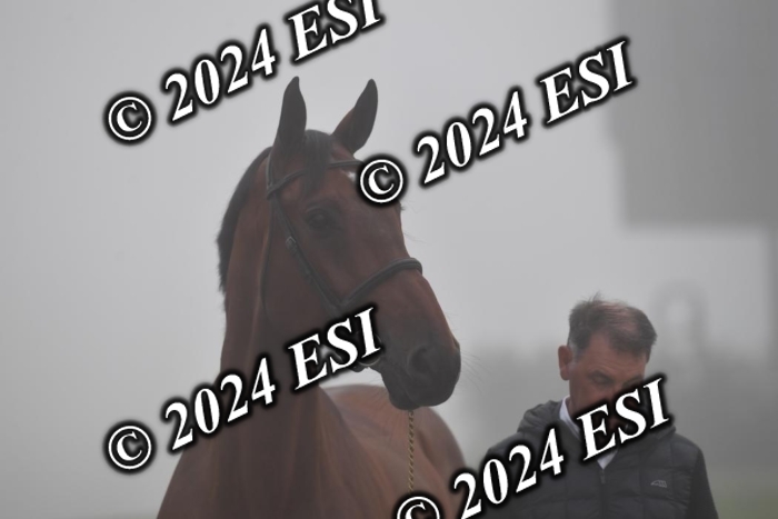 720CAH_6206