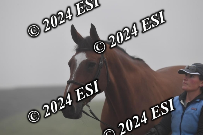 720CAH_6209