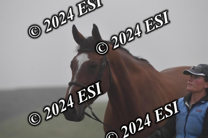 720CAH_6210