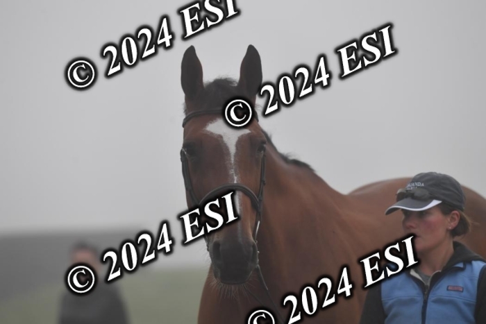 720CAH_6211