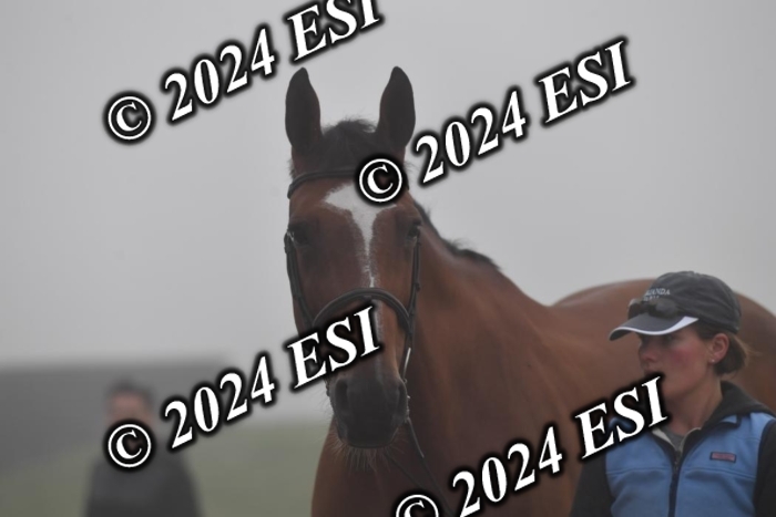 720CAH_6212