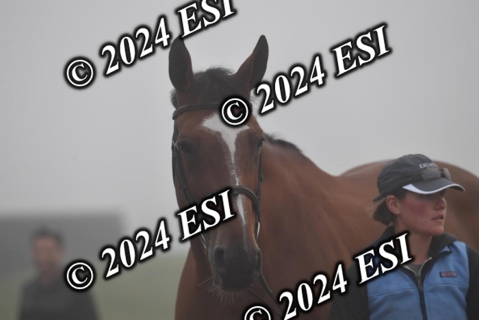 720CAH_6213
