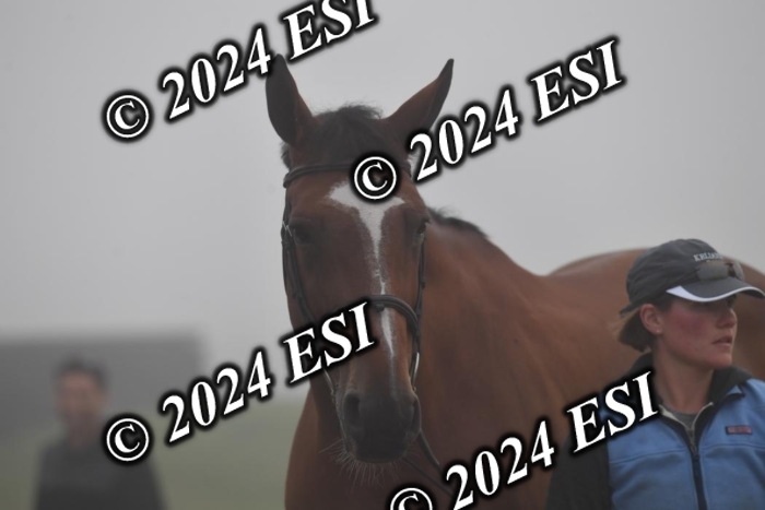 720CAH_6214