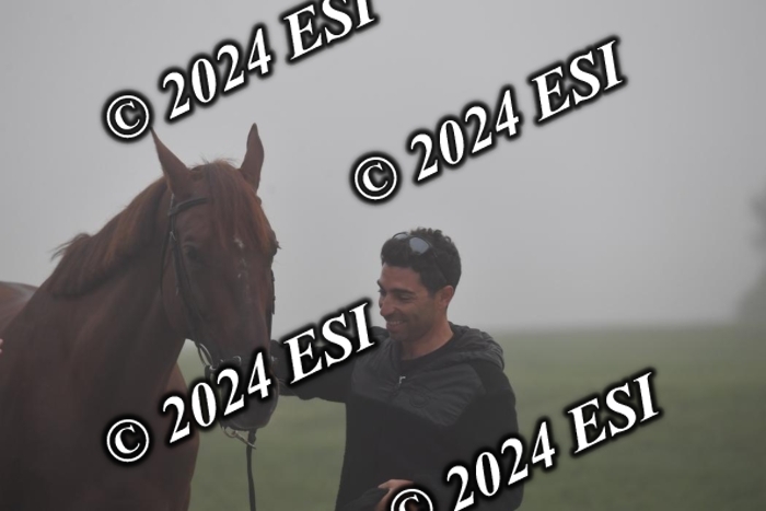 720CAH_6222