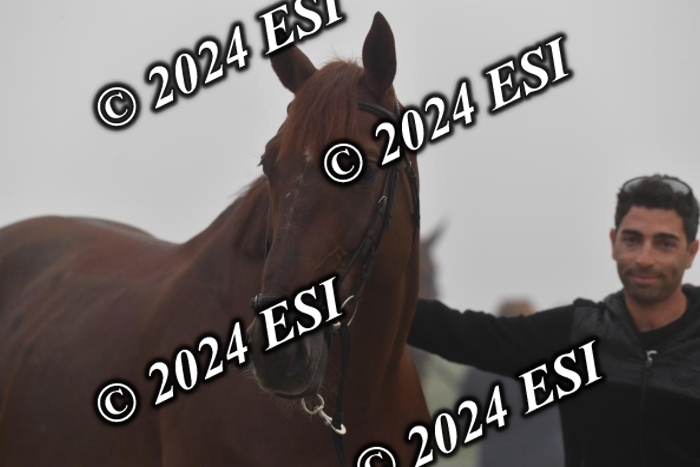 720CAH_6226
