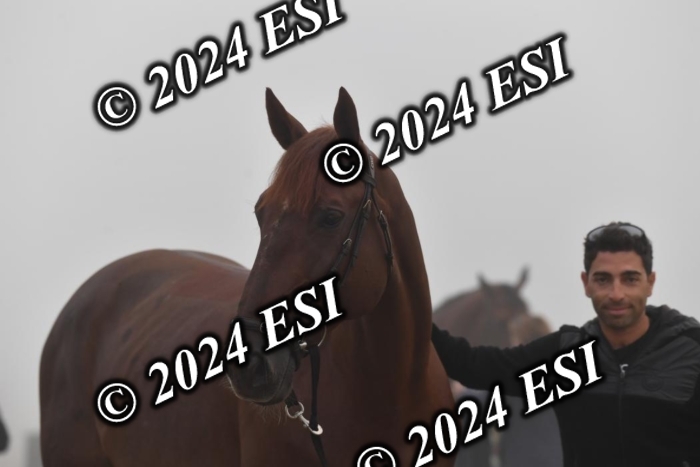 720CAH_6228