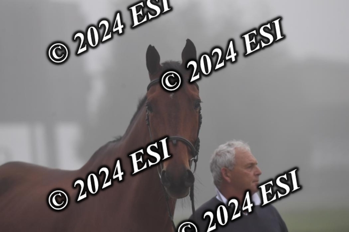 720CAH_6235