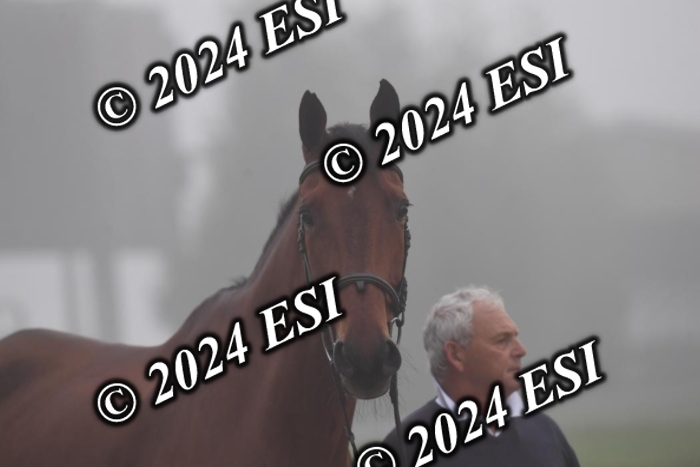 720CAH_6236