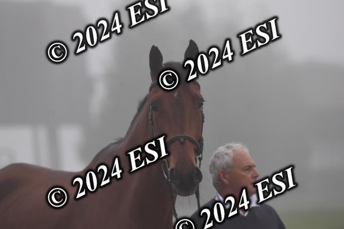 720CAH_6237