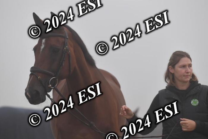 720CAH_6246