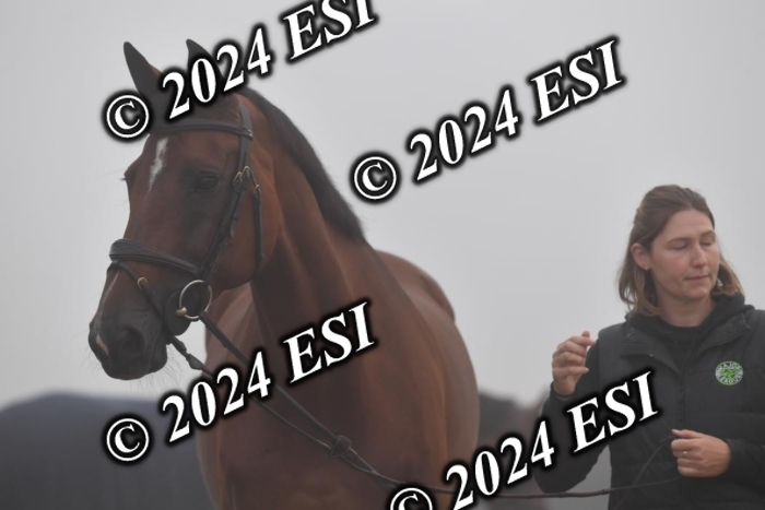 720CAH_6247