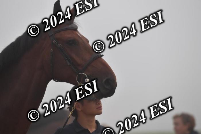 720CAH_6258