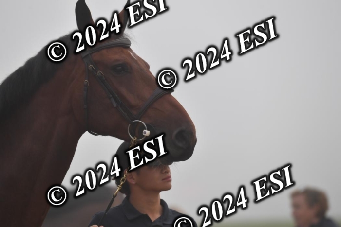 720CAH_6259