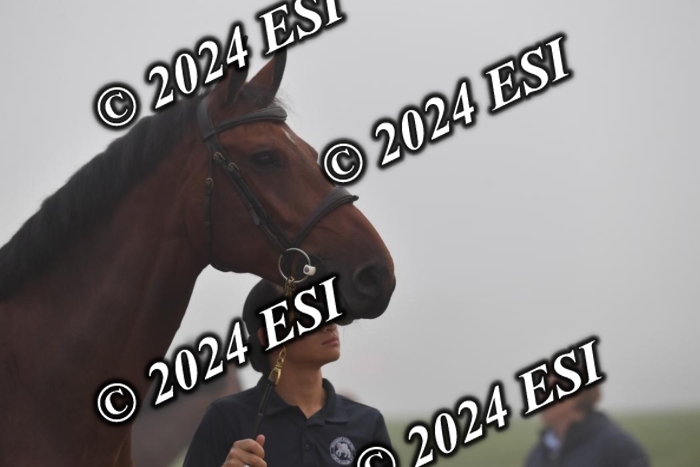 720CAH_6262