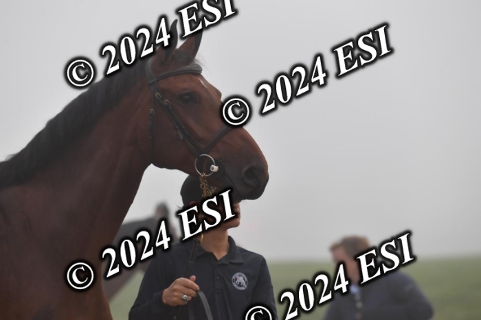 720CAH_6263